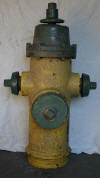 Guelph hydrant